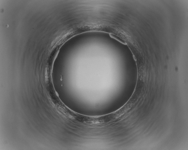 X0000067850740200604131250