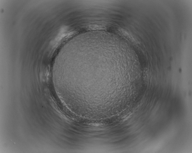 X0000067850741200604131250