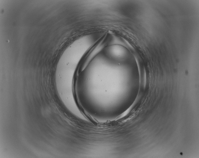X0000067850750200604131251