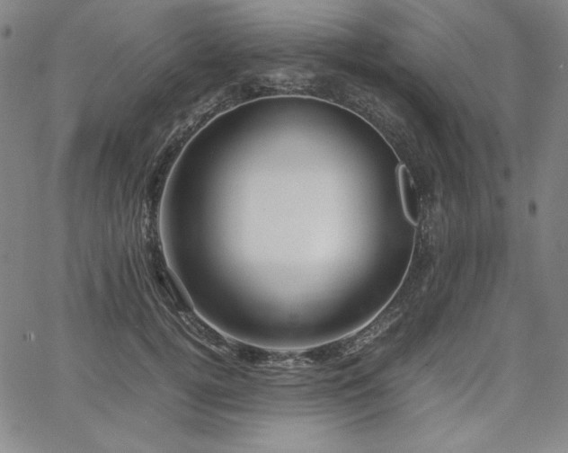 X0000067850752200604131251