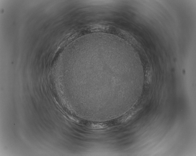 X0000067850753200604131251