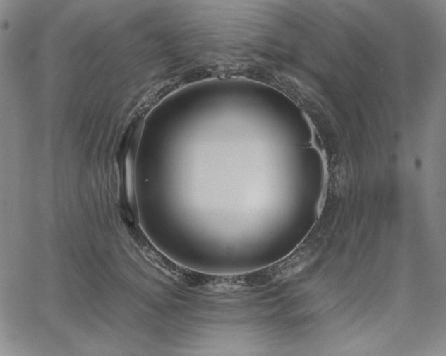 X0000067850756200604131251