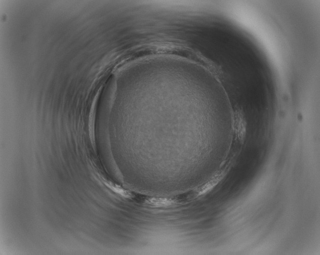 X0000067850766200604131251