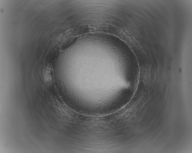 X0000067850770200604131250