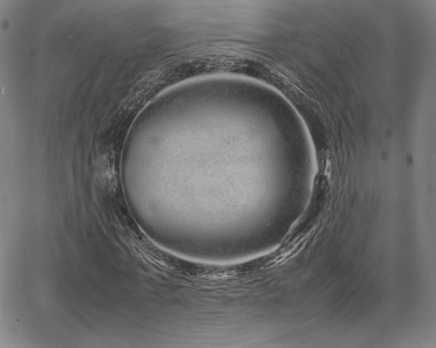 X0000067850771200604131250