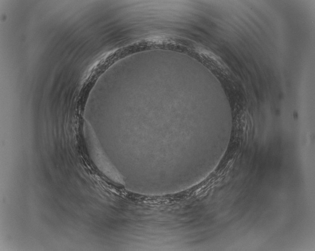 X0000067850776200604131250