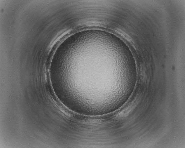 X0000067850782200604131250