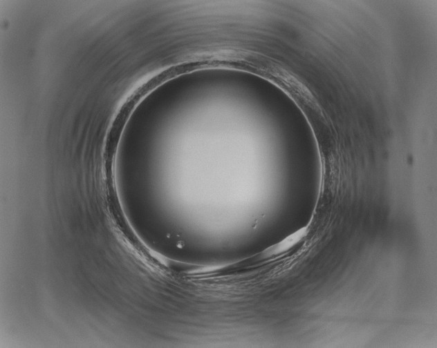 X0000067850784200604131250