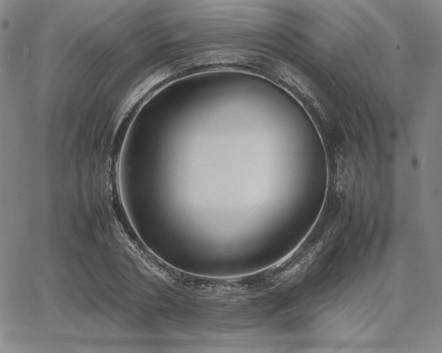 X0000067850786200604131250