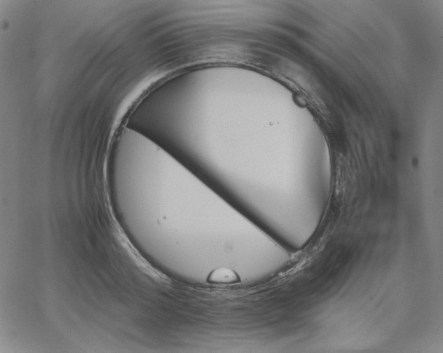 X0000067850796200604131250