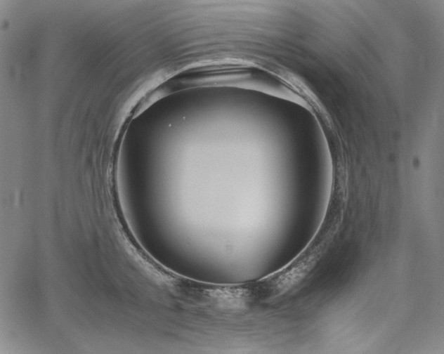 X0000067850805200604131249