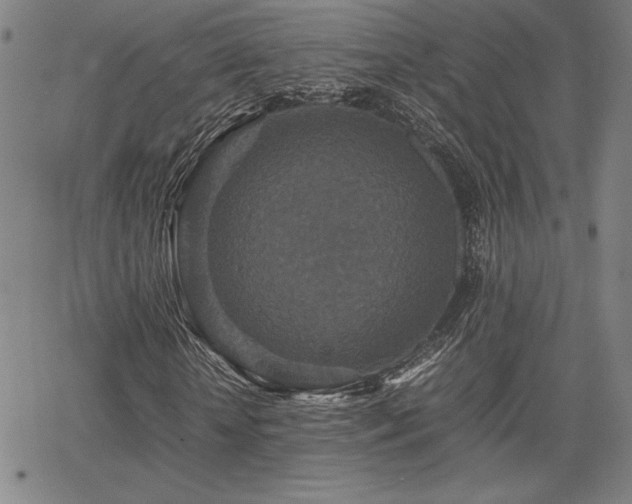 X0000067850818200604131249