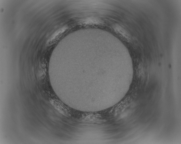 X0000067850824200604131249