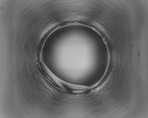 X0000067850826200604131249
