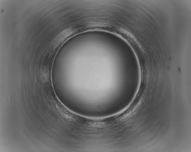 X0000067850833200604131249