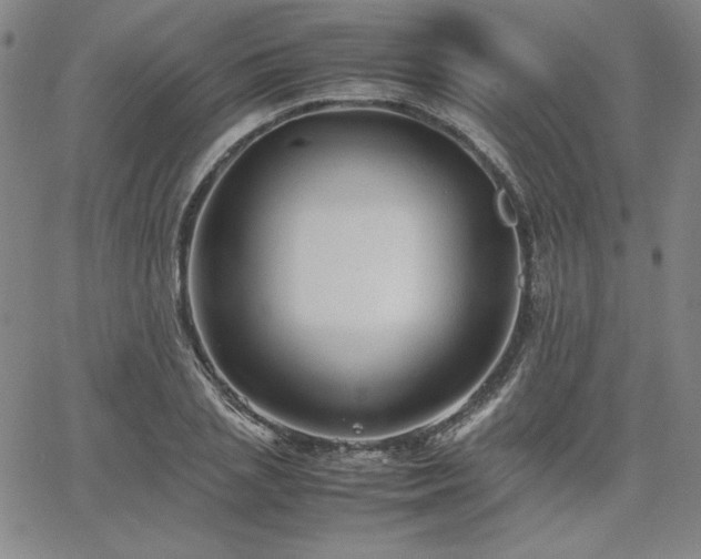 X0000067850837200604131249
