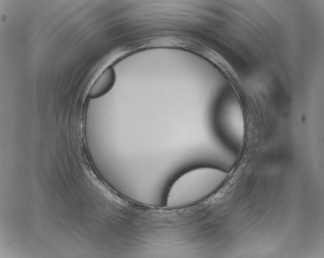 X0000067850852200604131249