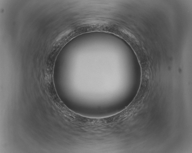 X0000067850869200604131248