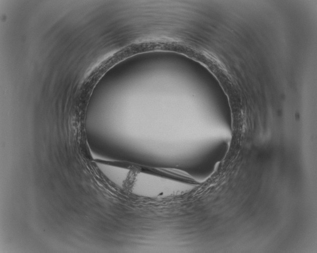 X0000067850872200604131248
