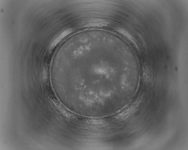 X0000067850874200604131248
