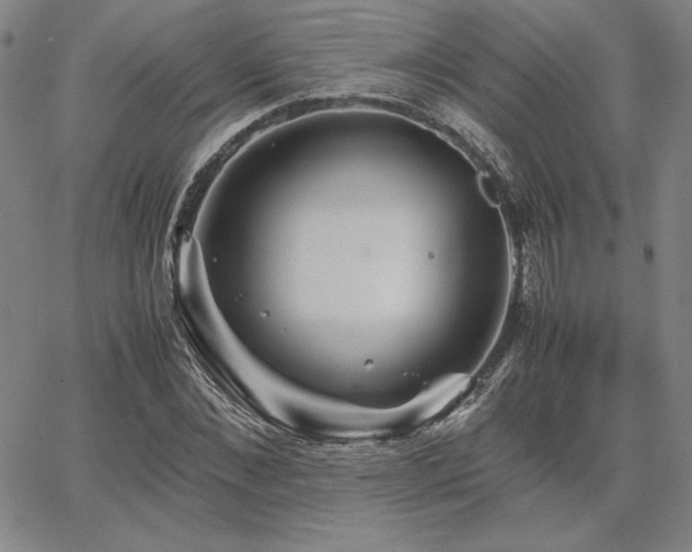 X0000067850876200604131248