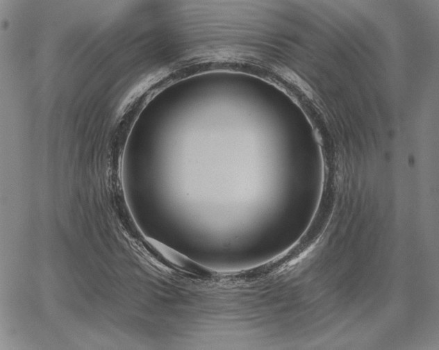 X0000067850922200604131247