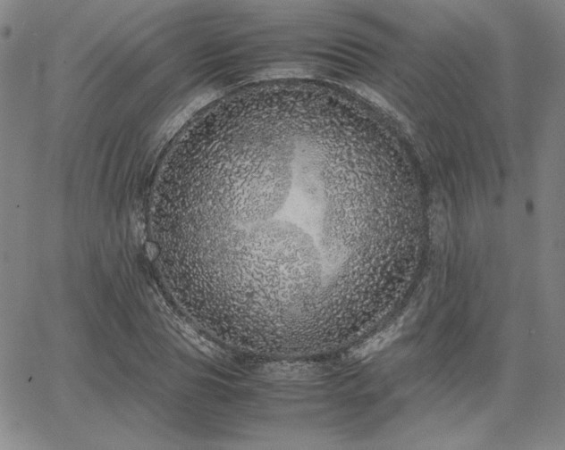 X0000067850929200604131247