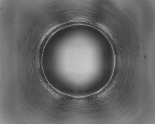 X0000067850931200604131247