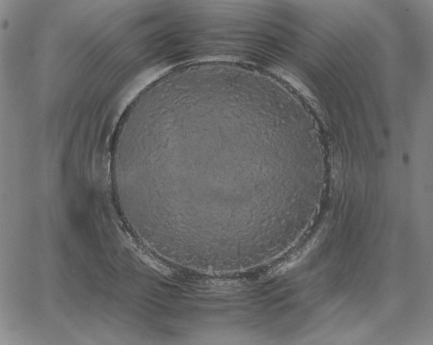 X0000067850933200604131247
