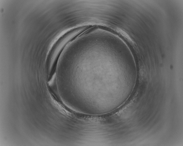 X0000067850934200604131247