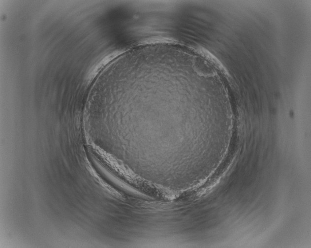 X0000067850937200604131247
