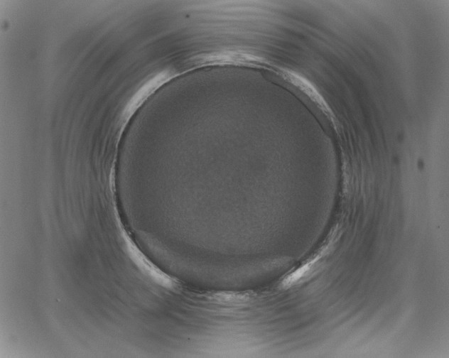 X0000067850946200604131248