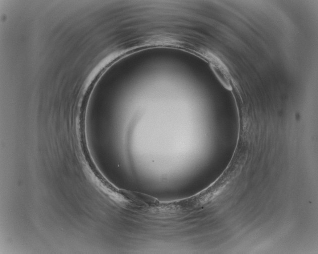 X0000067850947200604131248