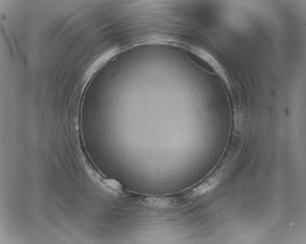 X0000067850954200604131248
