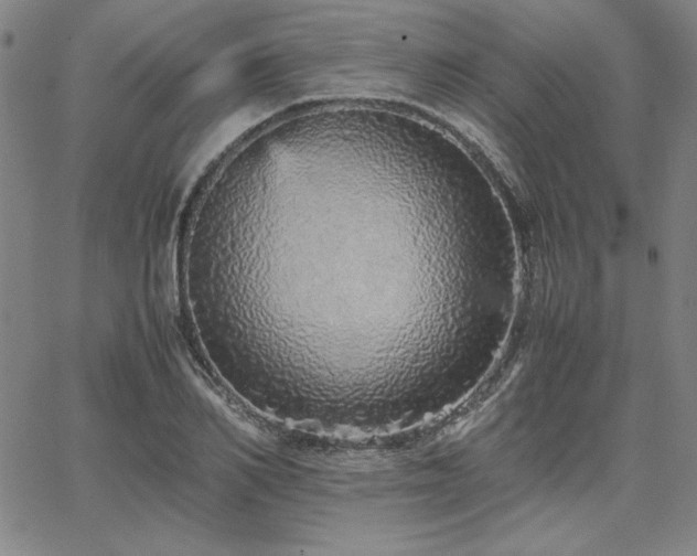 X0000067850982200604131247