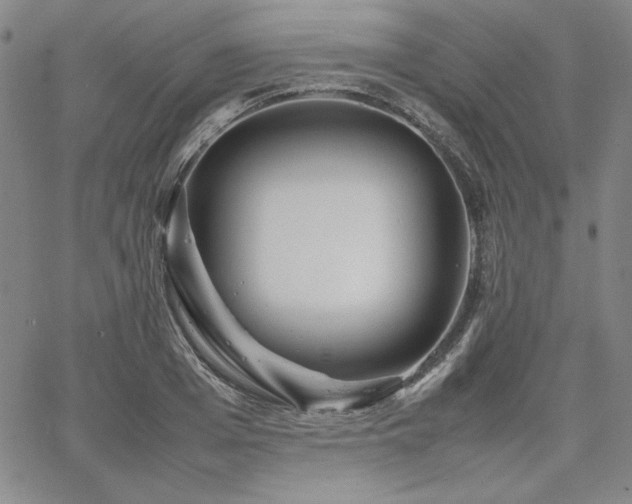 X0000067850985200604131247