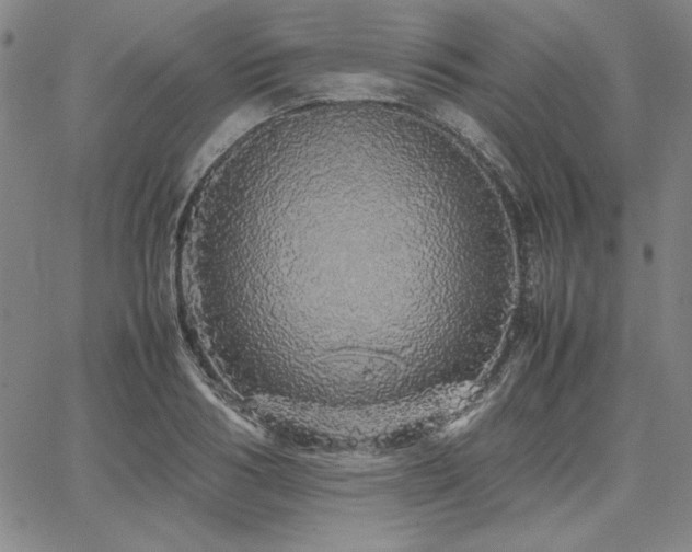 X0000067850986200604131247