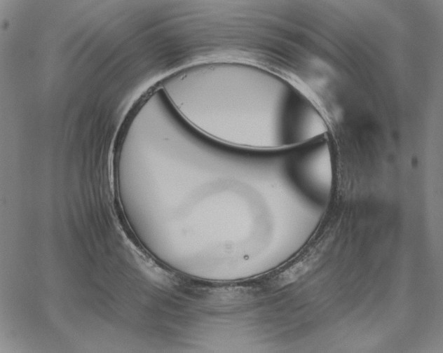 X0000067850988200604131247