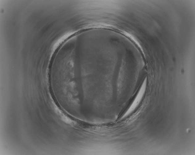 X0000067850995200604131246