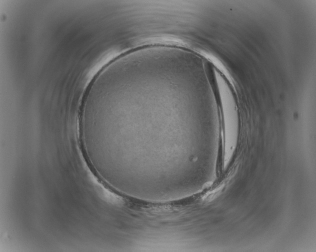 X0000067850999200604131246