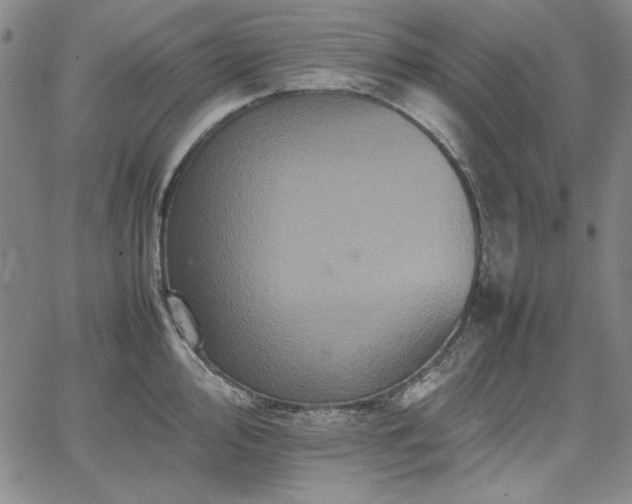 X0000067851000200604131246