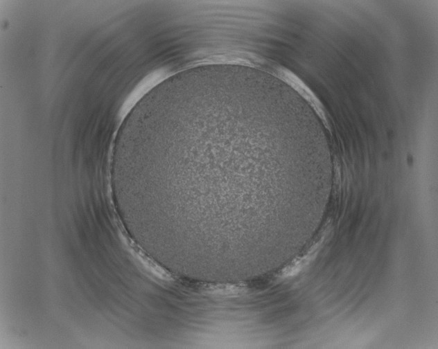 X0000067851002200604131246