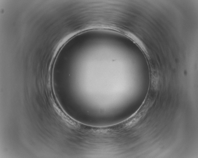X0000067851004200604131246