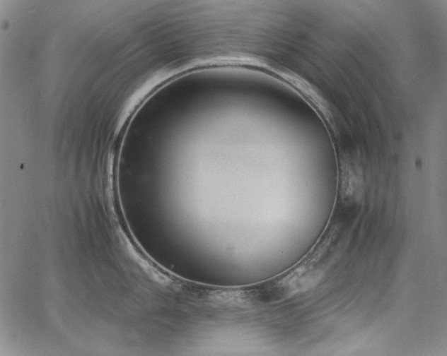 X0000067851006200604131246