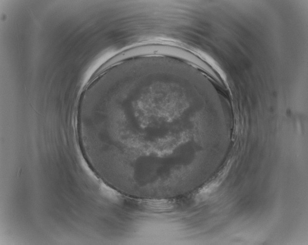 X0000067851007200604131246