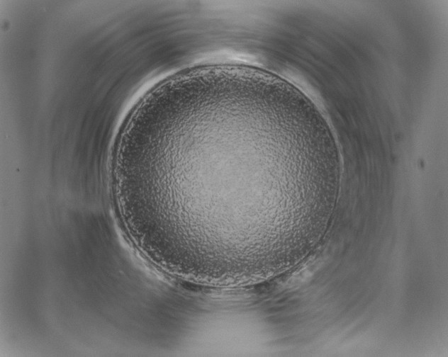 X0000067851008200604131246