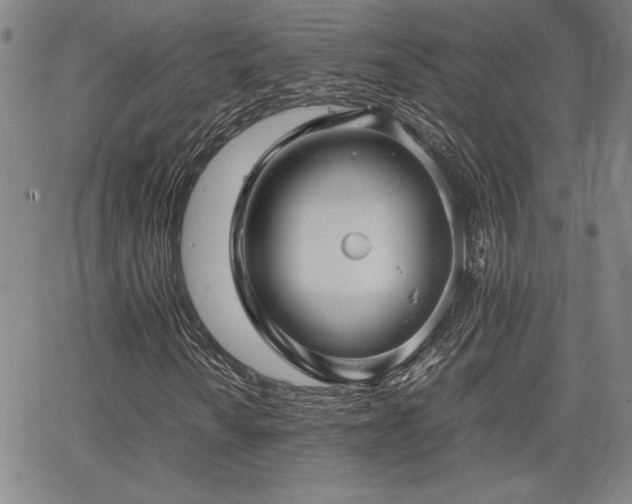 X0000067851010200604131245
