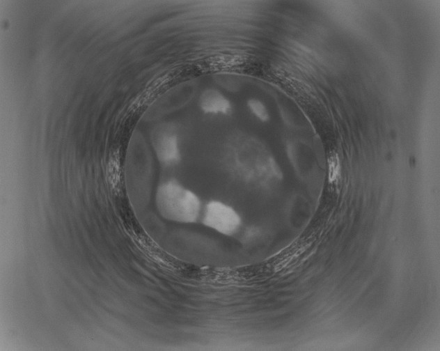 X0000067851011200604131245