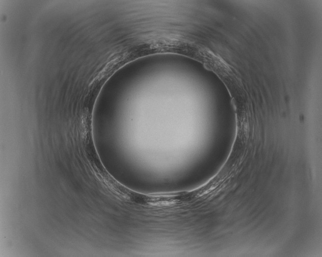 X0000067851012200604131245