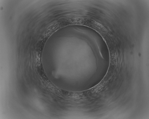 X0000067851013200604131245